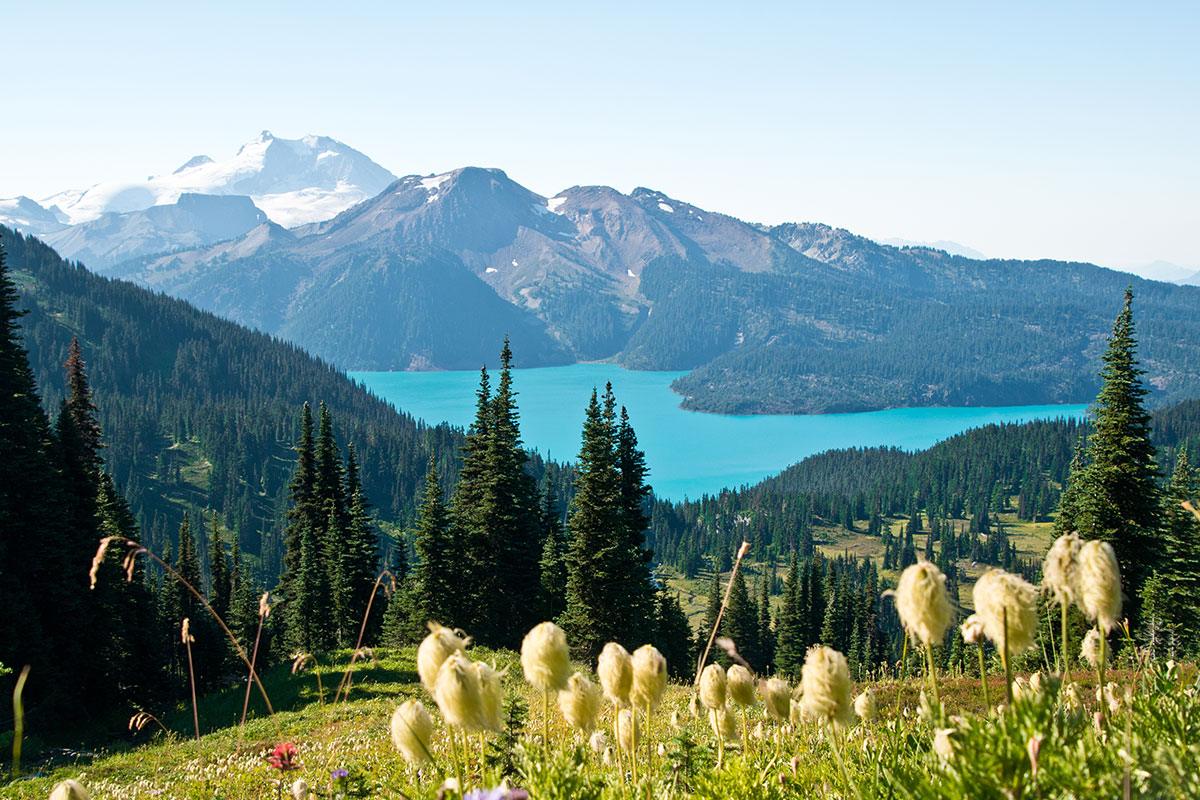 Garibaldi Lake with wildflowers in the foreground