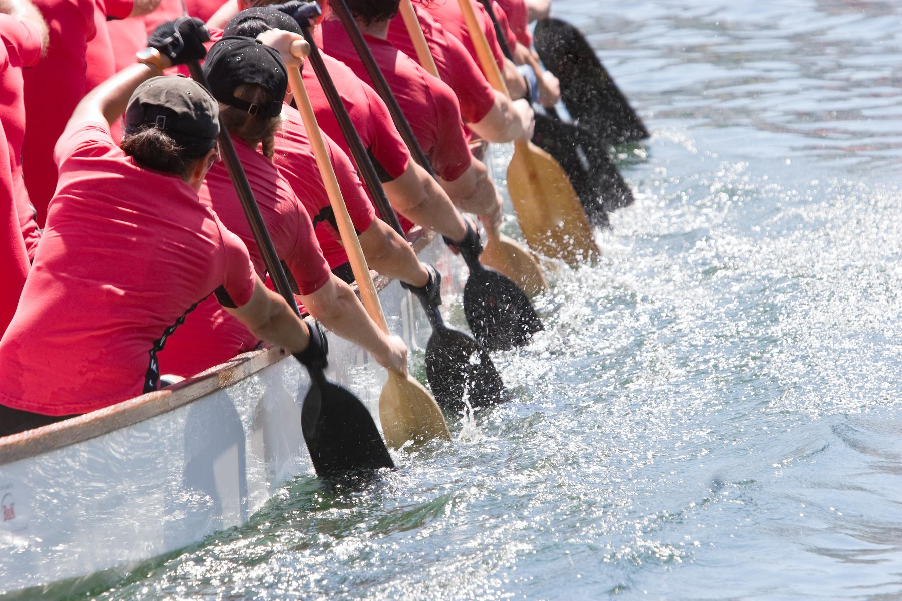 A dragon boat crew paddling in unison